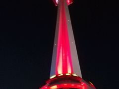 android_upload_pic-339旋转餐厅(天府熊猫塔店)