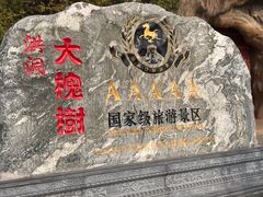 -大槐树寻根祭祖园