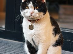 -创艺无限·赵春香微妙艺术馆