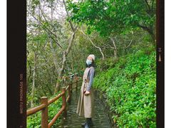 -海南文笔峰盘古文化旅游区