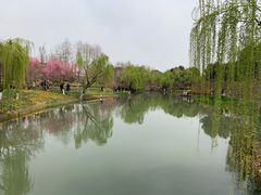 -圩墩遗址公园