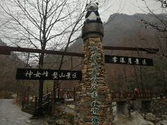 -青峰峡国家森林公园