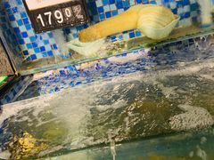-浩运·海鲜青岛菜·海胆水饺(石老人店)