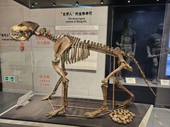-北京周口店北京人遗址博物馆
