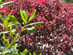 -长沙滨江文化园