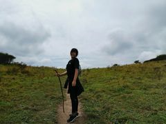 -秦岭风景区