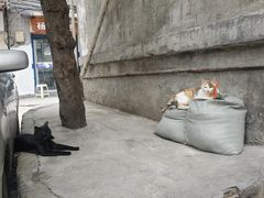 -榕江牛瘪牛肉火锅(东新路店)