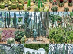 -深圳市中科院仙湖植物园