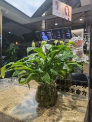 -永琪美容美发全国直营连锁