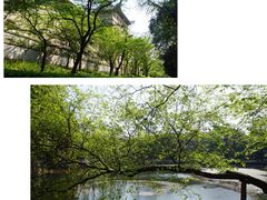 -武汉大学-樱园