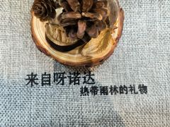 -呀诺达热带雨林