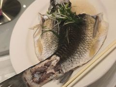 -稻香酒家·34年老字号·港式粤菜(侨光店)