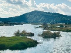 -腾冲北海湿地