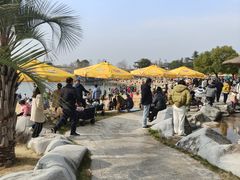 -南京银杏湖乐园