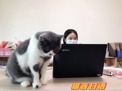 -猫音日语留学培训