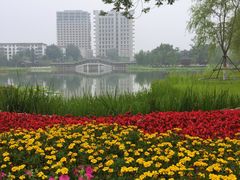 -西海子公园