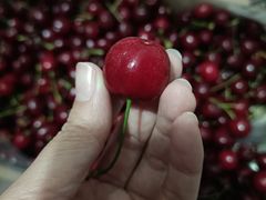 -美廉美超市(圣熙8号购物中心店)