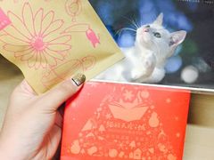 -猫的天空之城概念书店(苏州诚品店)