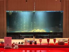 -蝉一日本料理(高新区店)