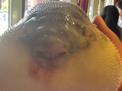 -永安鱼庄·镇江菜(丁卯店)