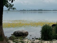 -西昌邛海湿地