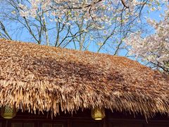 -中国茶叶博物馆(双峰馆区)