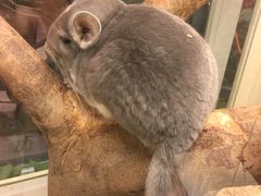 -龙猫仔乐园(惠福东路店)