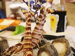 -鲜入围煮花胶鸡海鲜火锅