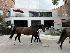 -J Create城市露营咖啡·简餐·宠物(上海动物园店)