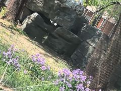 -秦皇岛野生动物园