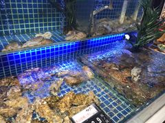 -必点海鲜·鲅鱼水饺(鞍山西道店)