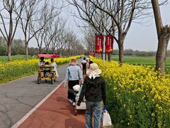 -上海长兴岛郊野公园