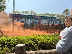 -昆明动物园