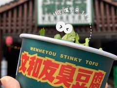 -太平老街