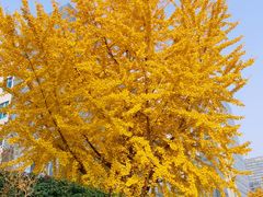 -四川大学(华西校区)