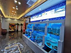 -瑞琳阿尔泰冷水鱼(康源财富中心店)
