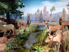 -陕西自然博物馆