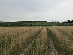 -光明小镇欢乐田园
