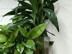 -要德火锅(鼓楼店)