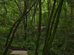 -剑门关风景区