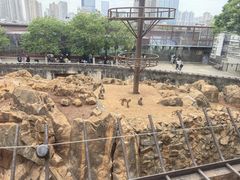 -昆明动物园
