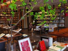 -深圳罗湖木棉花凯悦尚选酒店•大堂吧