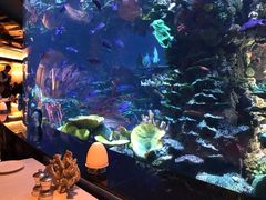 -迪拜帆船酒店海底餐厅