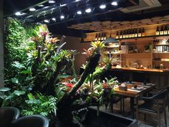 -森味薪火烧•烧鸟居酒屋•日本料理(望京店)