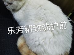 -汪小喵宠物·戴维斯乐芳希施宠馨宝皮毛调理洗护店