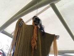 -幻彩摩天轮