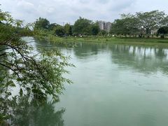 -老船夫石锅苗苗鱼·老字号(三道堰总店)