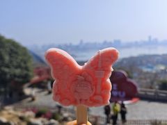 -龟山风景区-龟山电视塔