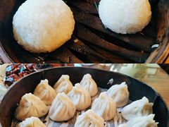 茨毛圆子-双塔老饭店