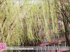 -哈尔滨师范大学(江南校区)
